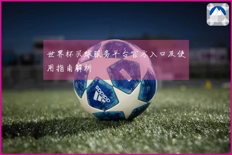 世界杯买球服务平台官方入口及使用指南解析