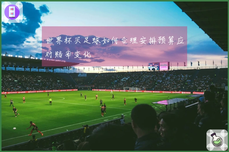 世界杯买足球如何合理安排预算应对赔率变化