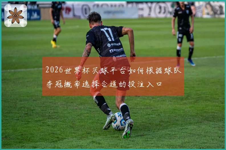 2026世界杯买球平台如何根据球队夺冠概率选择合适的投注入口