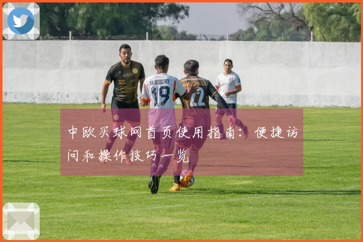 中欧买球网首页使用指南：便捷访问和操作技巧一览