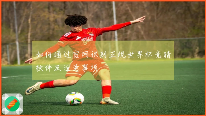 如何通过官网识别正规世界杯竞猜软件及注意事项
