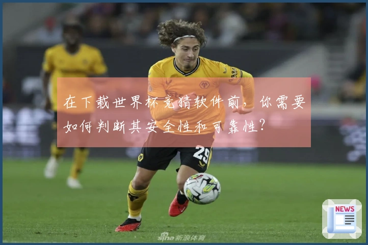 在下载世界杯竞猜软件前，你需要如何判断其安全性和可靠性？