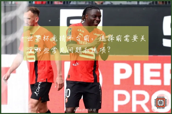世界杯竞猜平台前，选择前需要关注哪些常见问题和选项？