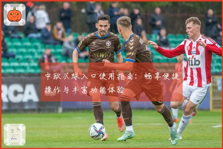 中欧买球入口使用指南：畅享便捷操作与丰富功能体验