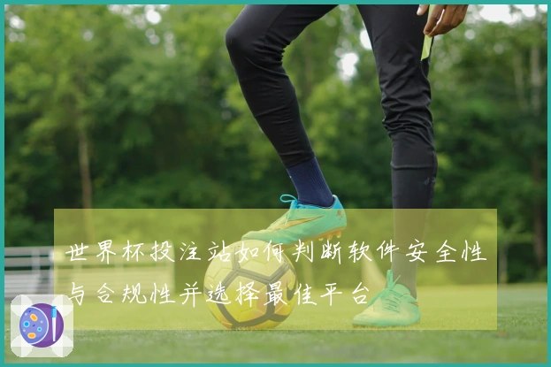 世界杯投注站如何判断软件安全性与合规性并选择最佳平台