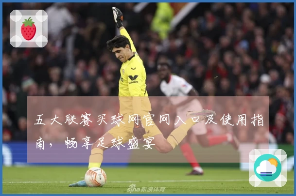 五大联赛买球网官网入口及使用指南，畅享足球盛宴