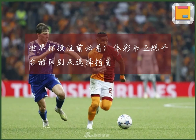 世界杯投注前必看：体彩和正规平台的区别及选择指南