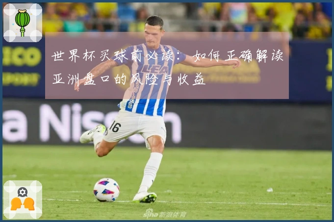 世界杯买球前必读:如何正确解读亚洲盘口的风险与收益