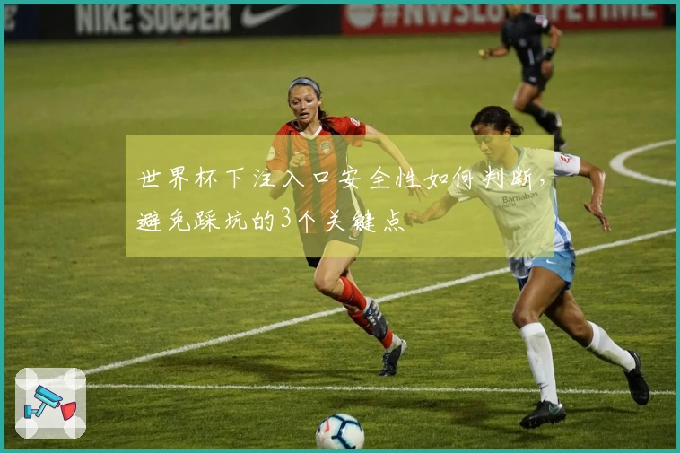 世界杯下注入口安全性如何判断,避免踩坑的3个关键点