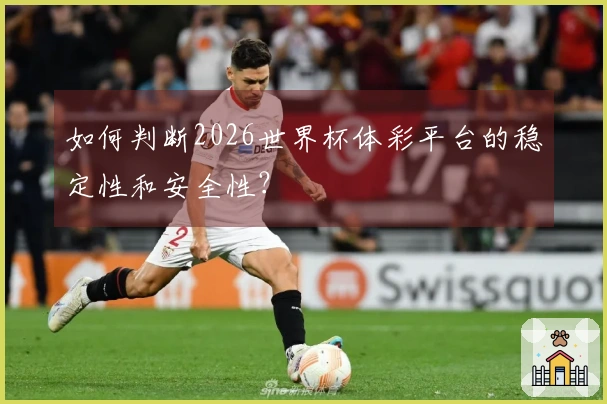 如何判断2026世界杯体彩平台的稳定性和安全性？