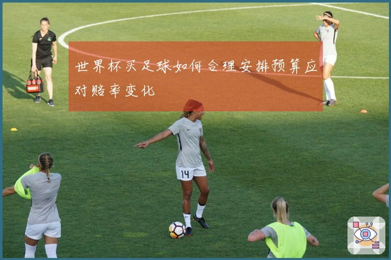 世界杯买足球如何合理安排预算应对赔率变化