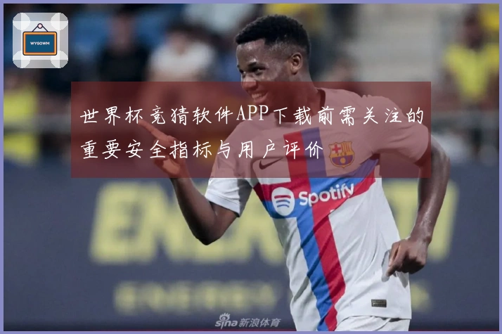 世界杯竞猜软件APP下载前需关注的重要安全指标与用户评价