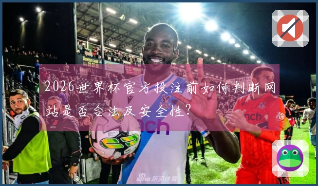 2026世界杯官方投注前如何判断网站是否合法及安全性？