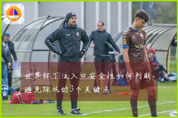 世界杯下注入口安全性如何判断，避免踩坑的3个关键点