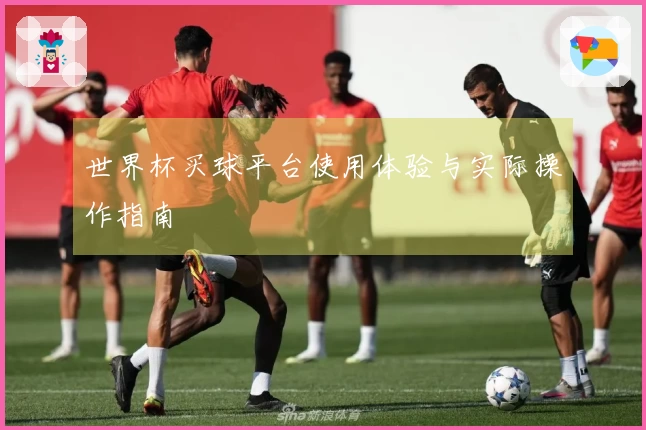 世界杯买球平台使用体验与实际操作指南