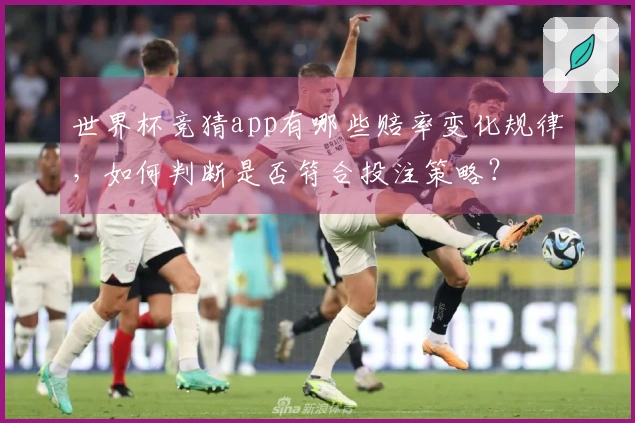 世界杯竞猜app有哪些赔率变化规律，如何判断是否符合投注策略？