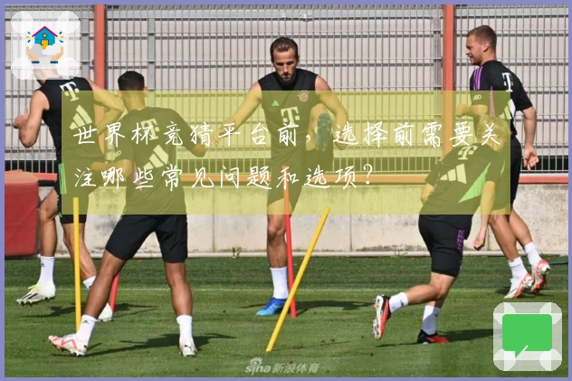 世界杯竞猜平台前，选择前需要关注哪些常见问题和选项？